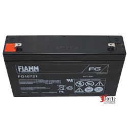 Fiamm FG 10721