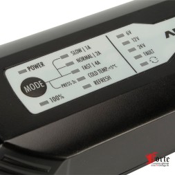 Ansmann ALCT 6-24/4 ЗУ на 6, 12, 24 В