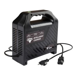 Charger 60v 6A RuTrike