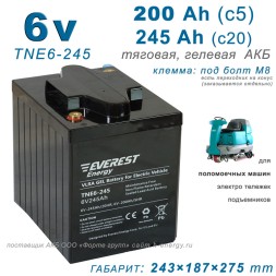 Everest TNE 6-245 (6v 245Ah) для поломоечных машин.