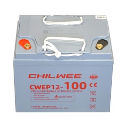Chilwee 6-EVF-86 (CWEP12-100)
