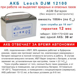 Leoch DJM12100