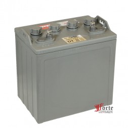 UPlus DT876 (8v 145/170ah)