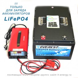 Everest Energy 24v 80A LFP