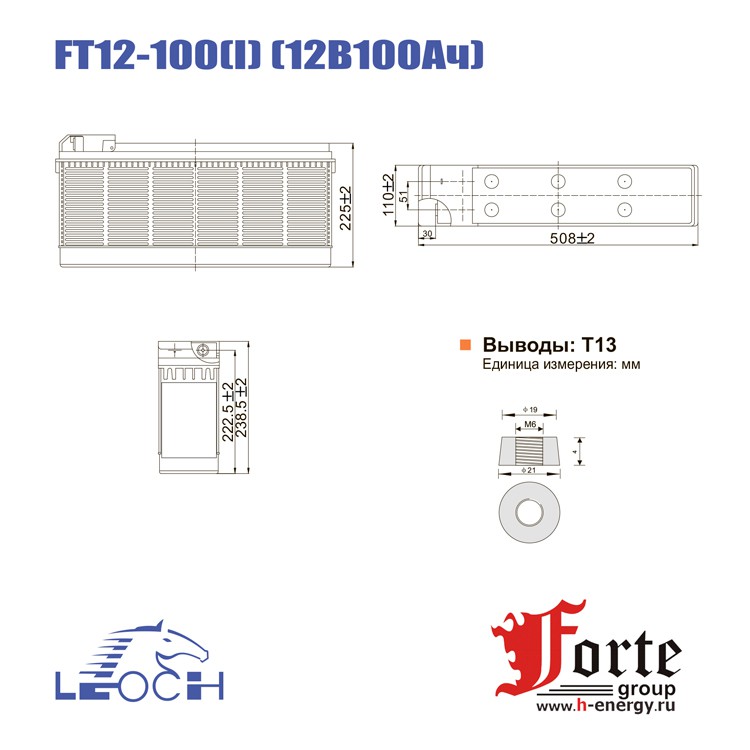 Leoch FT 12-100